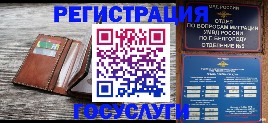 временная регистрация гарантия в Волхове